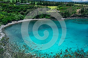 Honolua beach is a popular coral reef for snorkeling