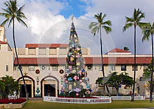 Honolulu christmas tree