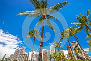 Honolulu skyline Background photo