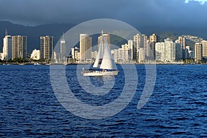 Honolulu skyscrapers in Hawaii