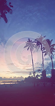 Honolulu Sunset Beauty