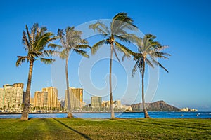 Honolulu Waikiki Beach Palm Trees at sunset, Oahu, Hawaii