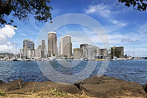 Honolulu yacht harbor