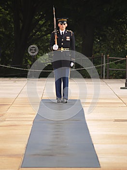 Honor Guard at Arlington Cemetery