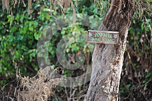 Honu Parking Sign on Turtle Beach in North Shore, Oahu, Hawaii