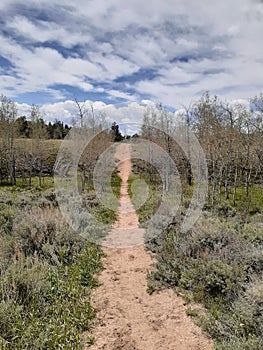 Hooch trail Blair Wallis Cheyenne,Wyoming