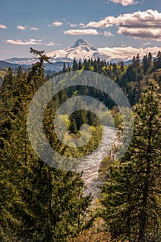 Hood River flowing from Mount Hood, Oregon