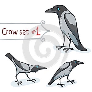 Hooded Crow Set