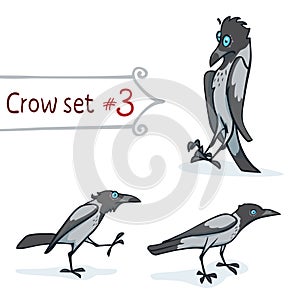 Hooded Crow Set