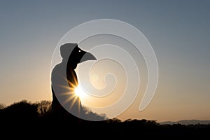 A hooded figure wearing a plague doctor mask. Silhouetted at sunset on a winters day