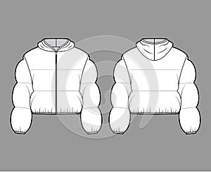 Hooded jacket Down puffer coat technical fashion illustration with long sleeves, zip-up closure, boxy fit, crop length