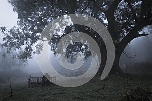 A hooded man sitting on a bench in the countryside on a foggy, moody day. With a muted, grainy edit