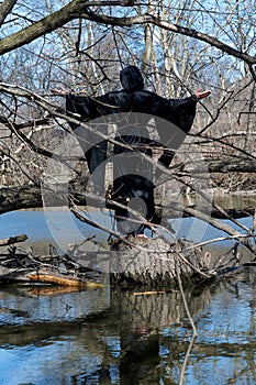 Hooded woman in black robes standing on a tree stump in the middle of a swamp. Halloween and Gothic concept. Witchcraft and magic