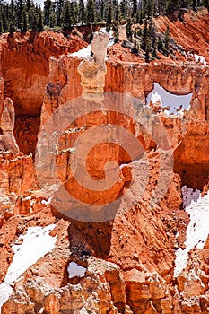 Hoodoo, Agua Canyon, Bryce Canyon on sunshine