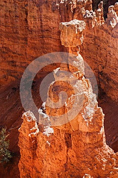 Hoodoo. Bryce Point Canyon Aerial View. Vertical
