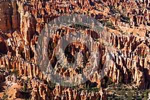 Hoodoo Forest in Bryce Canyon photo