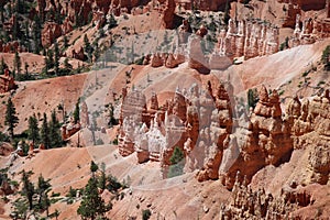 Hoodoo Formations in Bryce Canyon