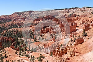 Hoodoo Landscape in Bryce