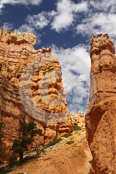 Hoodoos in Bryce Canyon