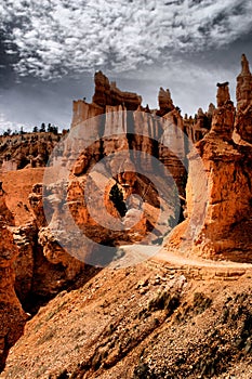 The Hoodoos of Bryce Canyon