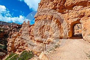 The hoodoos of Bryce Canyon National Park