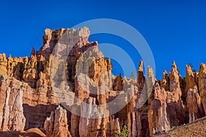 Hoodoos in Bryce canyon national Park, Utah