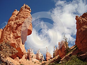 Hoodoos in Bryce Canyon NP