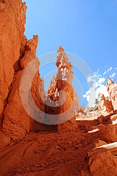 Hoodoos in Bryce Canyon, Utah, USA