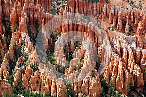 Hoodoos in Bryce Canyon, Utah, USA