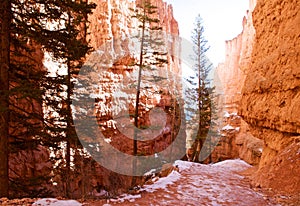 The Hoodoos, Bryce Canyon, Utah, USA