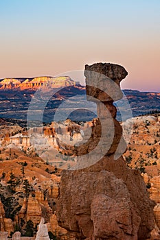 Hoodoos in early morning light in Bryce Canyon National Park