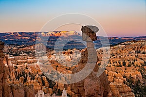 Hoodoos in early morning light in Bryce Canyon National Park