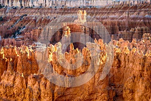 Hoodoos in early morning light in Bryce Canyon National Park