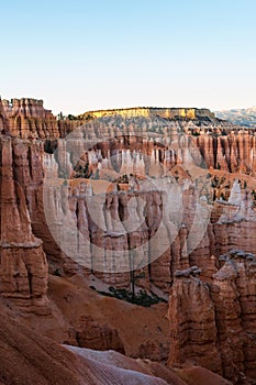 Hoodoos in early morning light in Bryce Canyon National Park