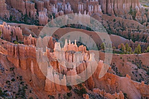 Hoodoos in early morning light in Bryce Canyon National Park