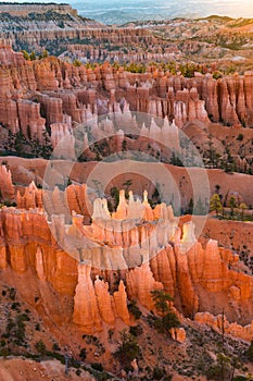 Hoodoos in early morning light in Bryce Canyon National Park