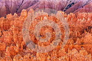 Hoodoos On Fire At Bryce