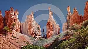 Hoodoos of Queens Stone Garden,  Bryce Canyon National Park, Utah