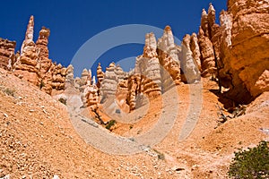 Hoodoos Up Close