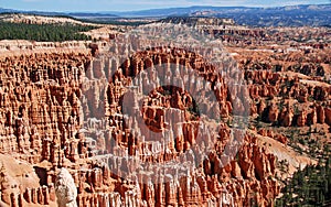 Hoodos in Bryce Canyon