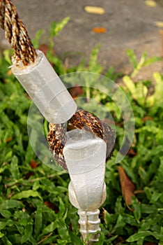 Hook embed in ground