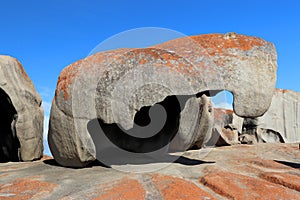 The Hook Rock , Remarkable rocks are located in the Flinders Chase National Park, over on the western side Kangaroo island.