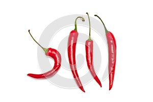 Hook shape chili pepper on white background