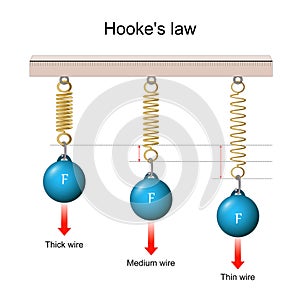 Hooke`s law. the force is proportional to the extension