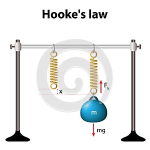 Hooke's law. the force is proportional to the extension