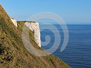 Hooken undercliff between Branscombe and Beer in Devon, England