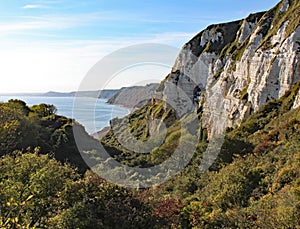 Hooken undercliff between Branscombe and Beer in Devon, England