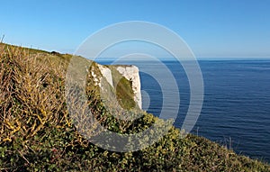 Hooken undercliff between Branscombe and Beer in Devon, England