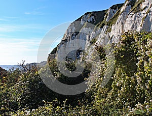 Hooken undercliff between Branscombe and Beer in Devon, England