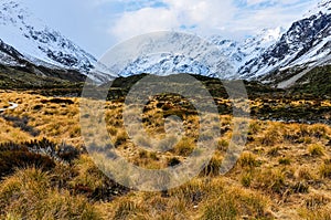 Track in Aoraki/Mount Cook National Park, New Zealand